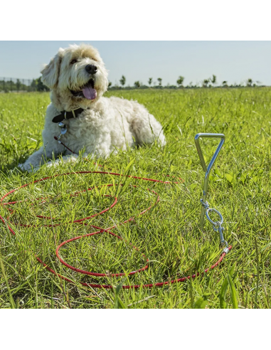 Espiral para segurar o cão com 4,5m cabo
