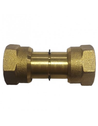 Doppeltes weibliches Gas B1