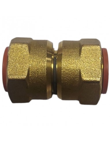 Double female gas B1