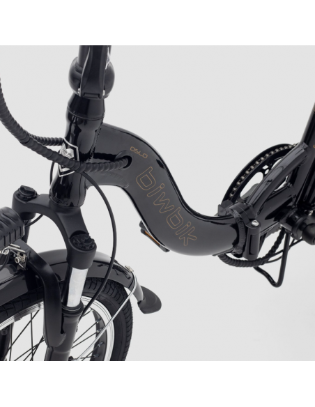 Schwarzes zusammenklappbares Elektrofahrrad Oslo Schwarzes zusammenklappbares Elektrofahrrad Oslo