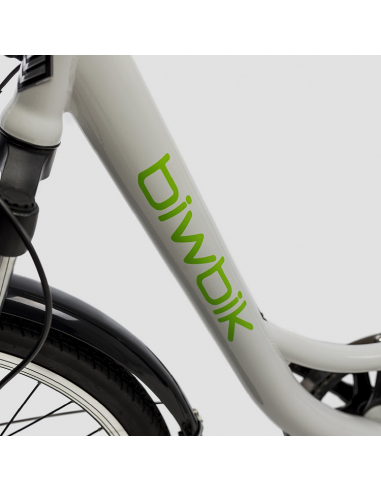 Bicicleta eléctrica Biwbik Sunray  12Ah