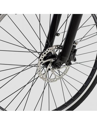 Bicicleta eléctrica Biwbik Sunray  12Ah