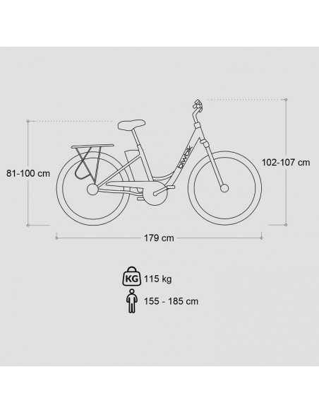 Bicicleta eléctrica Biwbik Sunray  12Ah Bicicleta eléctrica Biwbik Sunray  12Ah