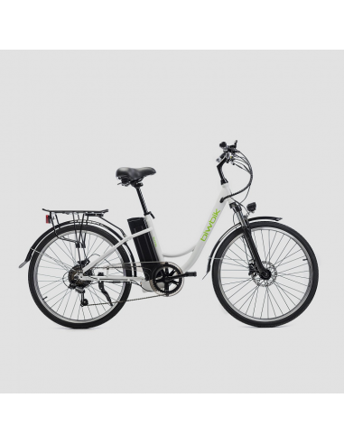 Bicicleta eléctrica Biwbik Sunray  12Ah