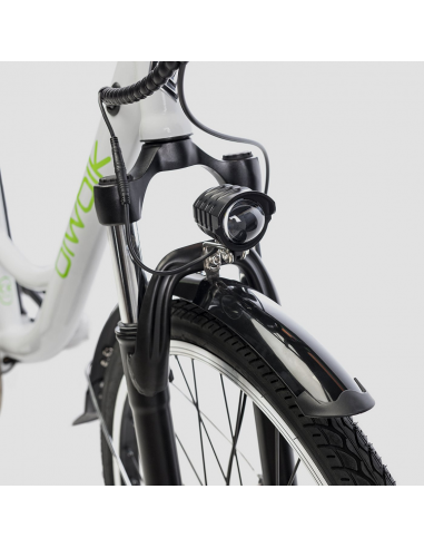 Bicicleta eléctrica Biwbik Sunray  12Ah