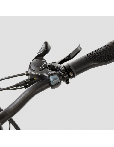Bicicleta eléctrica Biwbik Sunray  12Ah