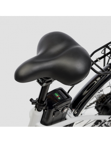 Bicicleta eléctrica Biwbik Sunray  12Ah