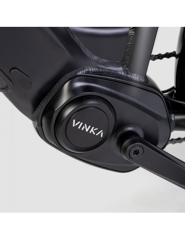 Bicicletta elettrica attiva