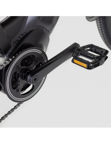 Bicicletta elettrica attiva