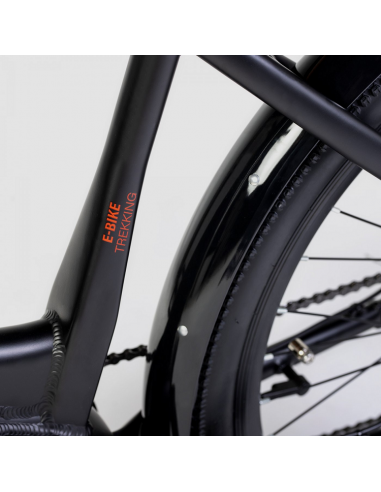 Bicicletta elettrica attiva