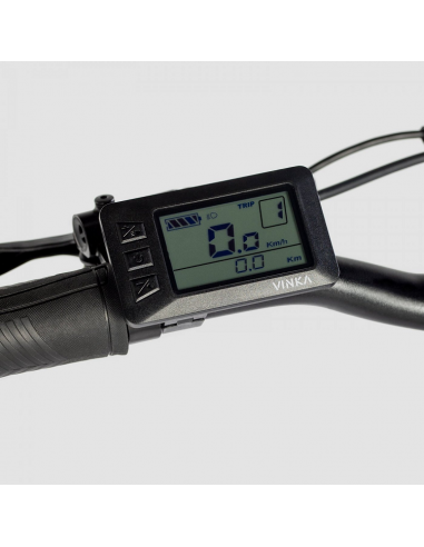 Bicicletta elettrica attiva