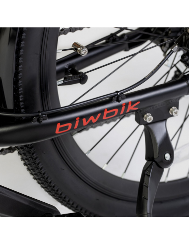 Bicicletta elettrica attiva