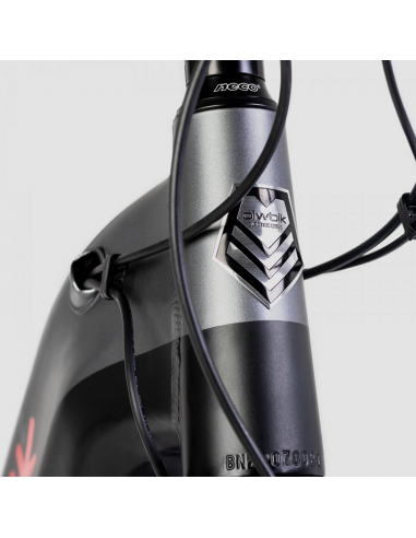 Bicicletta elettrica attiva