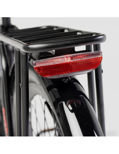 Bicicletta elettrica attiva