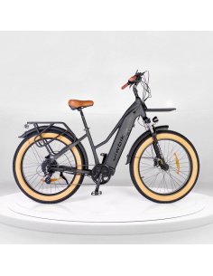 Bicicleta Eléctrica Biwbik Sidney