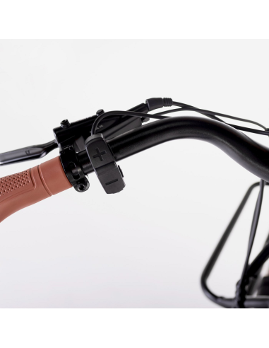 Bicicleta Eléctrica Biwbik Sidney