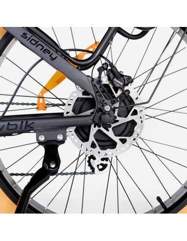 Bicicleta Eléctrica Biwbik Sidney