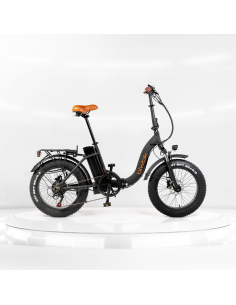 Bicicleta Eléctrica Biwbik Capri Black