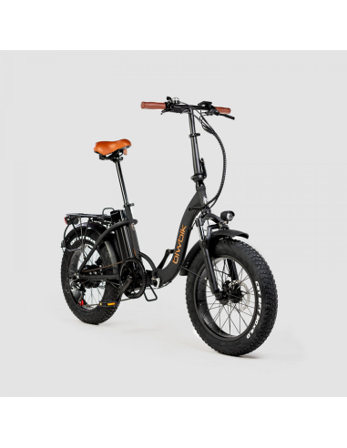 Bicicleta Eléctrica Biwbik Capri Black