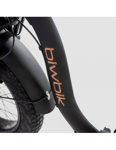 Bicicleta Eléctrica Biwbik Capri Black
