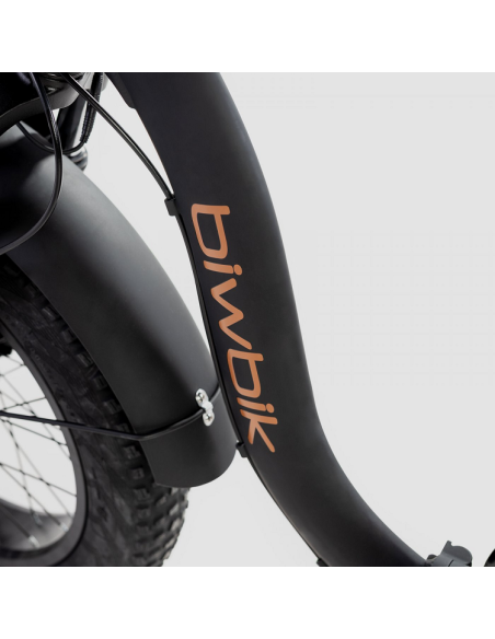 Bicicleta Eléctrica Biwbik Capri Black Bicicleta Eléctrica Biwbik Capri Black