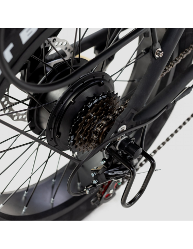 Bicicleta Eléctrica Biwbik Capri Black