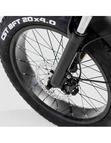Bicicleta Eléctrica Biwbik Capri Black