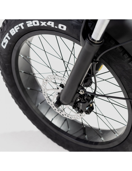 Bicicleta Eléctrica Biwbik Capri Black Bicicleta Eléctrica Biwbik Capri Black