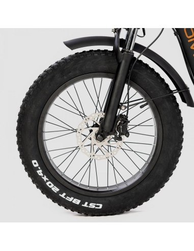 Bicicleta Eléctrica Biwbik Capri Black