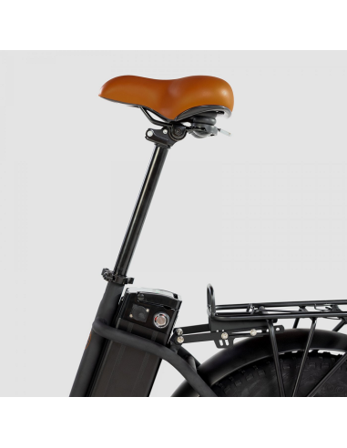 Bicicleta Eléctrica Biwbik Capri Black