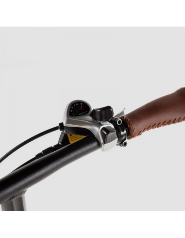 Bicicleta Eléctrica Biwbik Capri Black