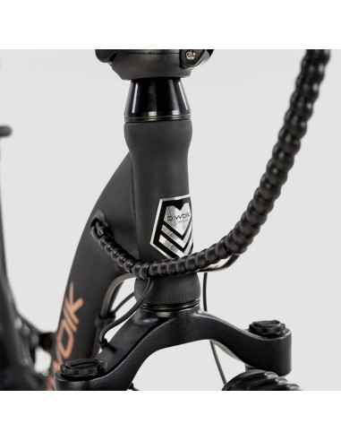 Bicicleta Eléctrica Biwbik Capri Black