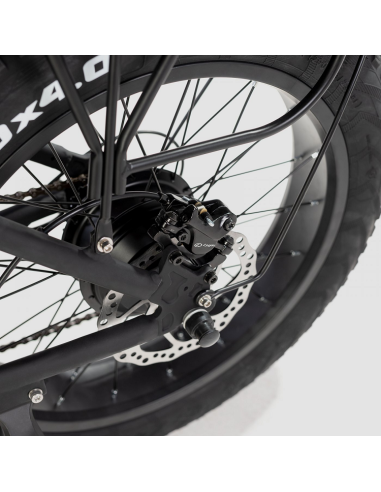 Bicicleta Eléctrica Biwbik Capri Black