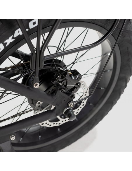 Bicicleta Eléctrica Biwbik Capri Black Bicicleta Eléctrica Biwbik Capri Black