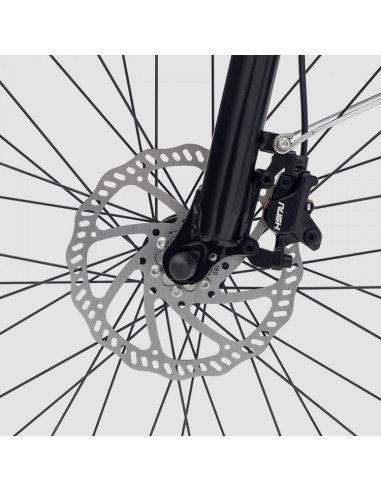 Bicicleta Eléctrica Biwbik Roma 20