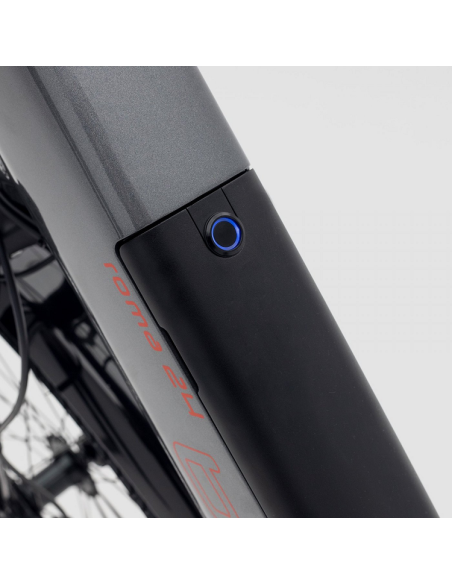 Elektrofahrrad Rom 20