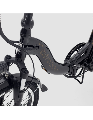 Bici elettrica nera di Oslo