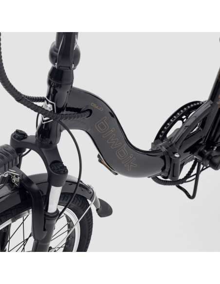 Bici elettrica nera di Oslo