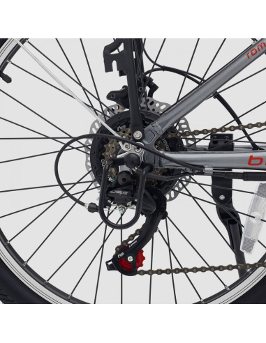 Bicicleta Eléctrica Biwbik Roma 24