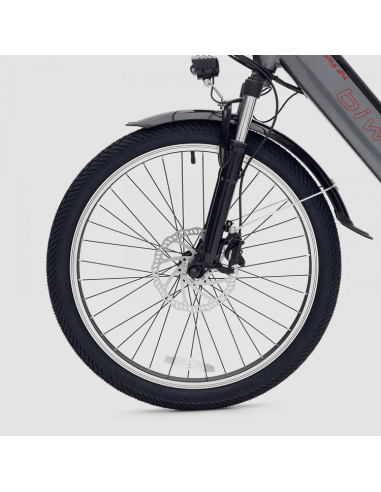 Bicicleta Eléctrica Biwbik Roma 24