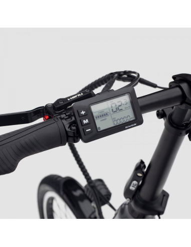 Bicicleta Eléctrica Biwbik Roma 24