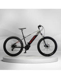 Bicicleta Eléctrica Biwbik Kone
