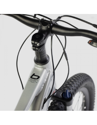 Bicicleta Eléctrica Biwbik Kone