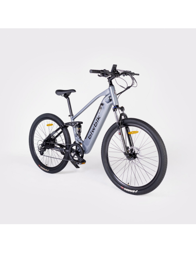 Bicicleta Eléctrica Biwbik Willow