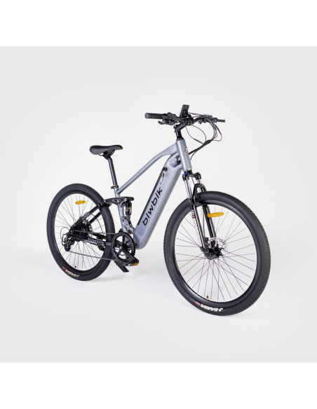 Elétrica de salgueiro Bicicleta