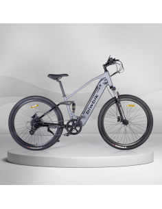 Bicicleta Eléctrica Biwbik Willow