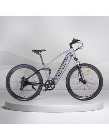 Bicicleta Eléctrica Biwbik Willow
