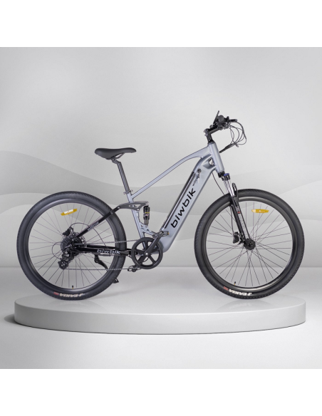 Bicicleta Eléctrica Biwbik Willow Bicicleta Eléctrica Biwbik Willow