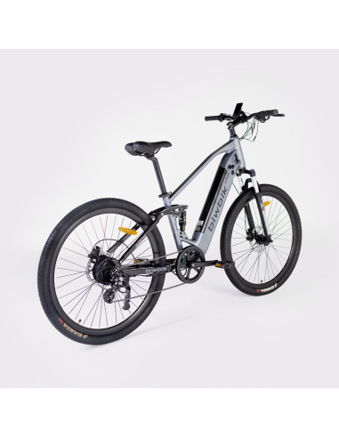 Elétrica de salgueiro Bicicleta