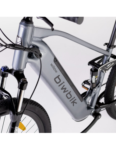 Elétrica de salgueiro Bicicleta